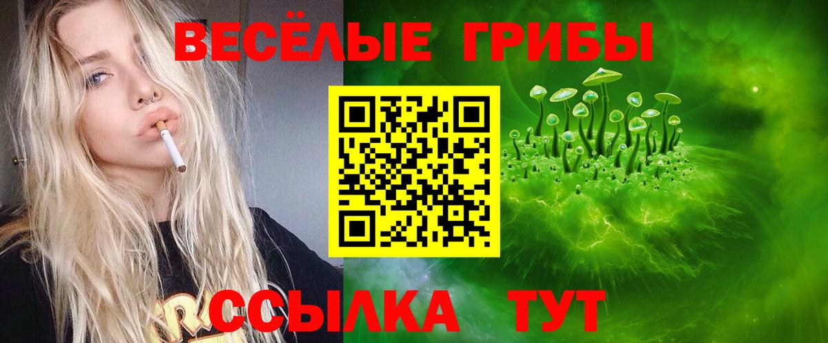 Псилоцибиновые грибы прущие грибы  Галлюциногенные грибы Psilocybine cubensis  Вход с VPN  Новосибирск 